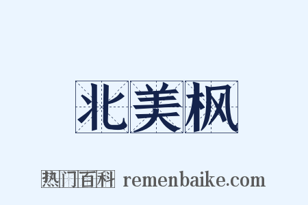 北美枫是什么意思的图片